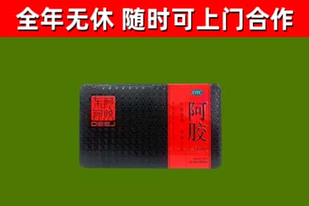 共和县烟酒回收阿胶.jpg